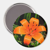 Lilienmagnet Magnet (Vorderseite/Rückseite)