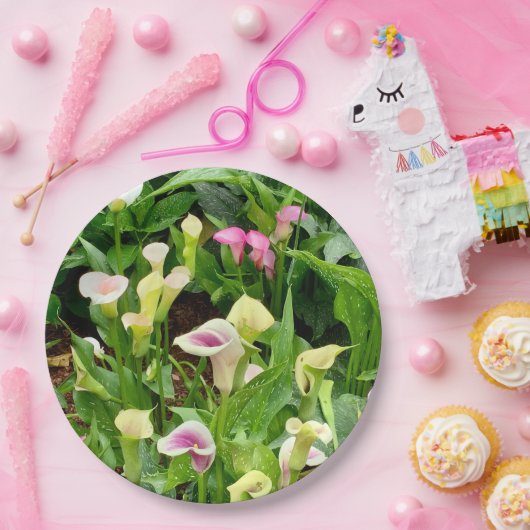 Lilienpapier Pappteller (Party)