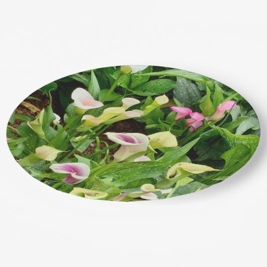 Lilienpapier Pappteller (Schrägansicht)