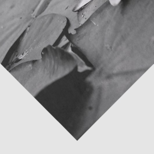 Lilienpapier Seidenpapier (Detail)