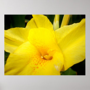 Lilienplakat aus der Gelben Blume Poster