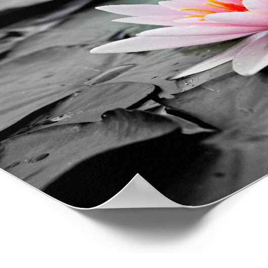 Lilienposter Poster (Ecke)