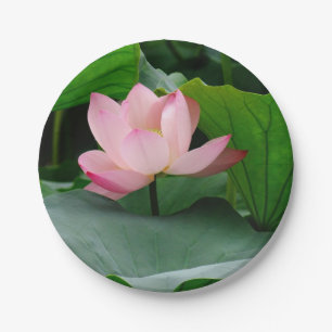 Lilienrosa Pappteller