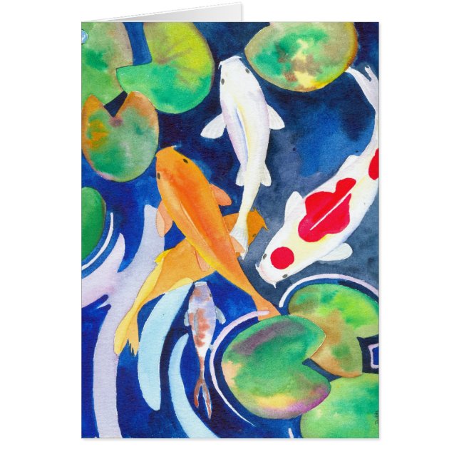 Lilienteich Koi (Vorne)