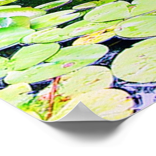 Lilienteich, www.zazzle.com/jbpeanut poster (Ecke)