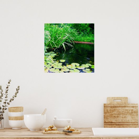 Lilienteich, www.zazzle.com/jbpeanut poster (Küche)