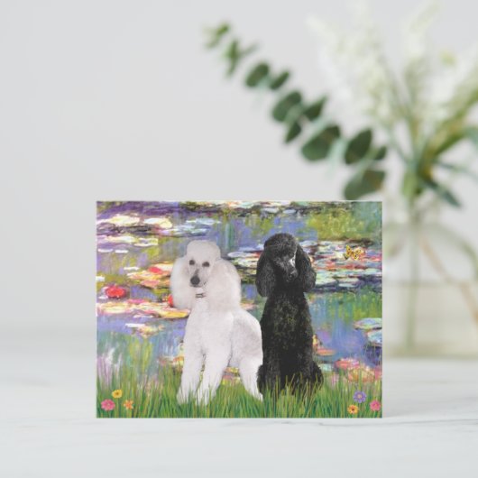 Lilies2-Standard Poodles (schwarz & weiß) Postkarte (Stehend Vorderseite)