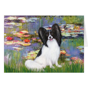 Lilies 1 - Papillon 1