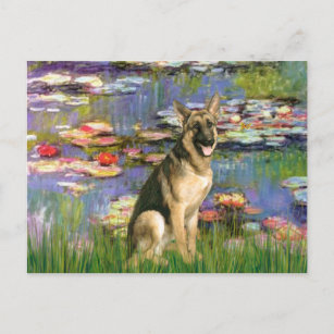 Lilies 2 - Deutscher Schäferhund 2 Postkarte