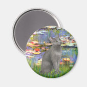 Lilies 2 - Russische Blaue Katze Magnet (Vorderseite/Rückseite)