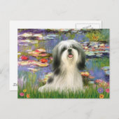 Lilies (#2) - Shih Tzu #3 Postkarte (Vorne/Hinten)