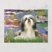 Lilies (#2) - Shih Tzu #3 Postkarte (Vorderseite)