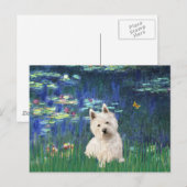 Lilies 5 - Westie 1 Postkarte (Vorne/Hinten)