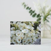 Lilies at Calla Lily Plantation, Taiwan Postkarte (Stehend Vorderseite)