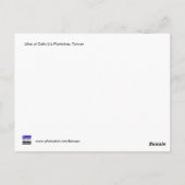 Lilies at Calla Lily Plantation, Taiwan Postkarte (Rückseite)