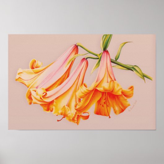 "Lilies" Billardposter-Druck Poster (Vorne)