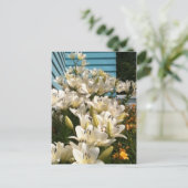 Lilies Blume Grüne Blätter Postkarten (Stehend Vorderseite)