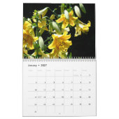 Lilies Blume Heilung Touch Kalender (Jan 2027)