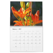Lilies Blume Heilung Touch Kalender (Feb 2027)