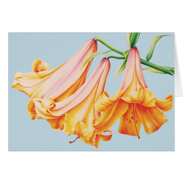 Lilies fine art Watercolor Bleistift Jederzeit Kar (Vorderseite (Horizontal))