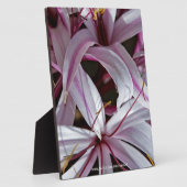 Lilies Fotoplatte (Seite)