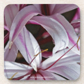 Lilies Getränkeuntersetzer (Vorderseite)