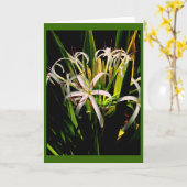 Lilies Greeting Card Karte (Gelbe Blume)