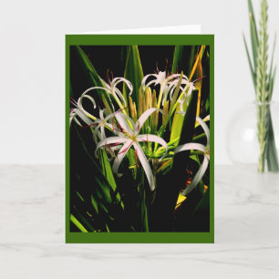 Lilies Greeting Card Karte