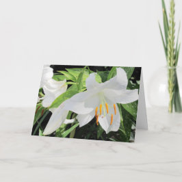 Lilies Greeting Card Karte