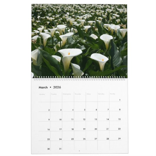 Lilies-Kalender 2021 Kalender (Mär 2026)