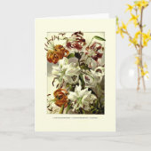 Lilies Karte (Gelbe Blume)