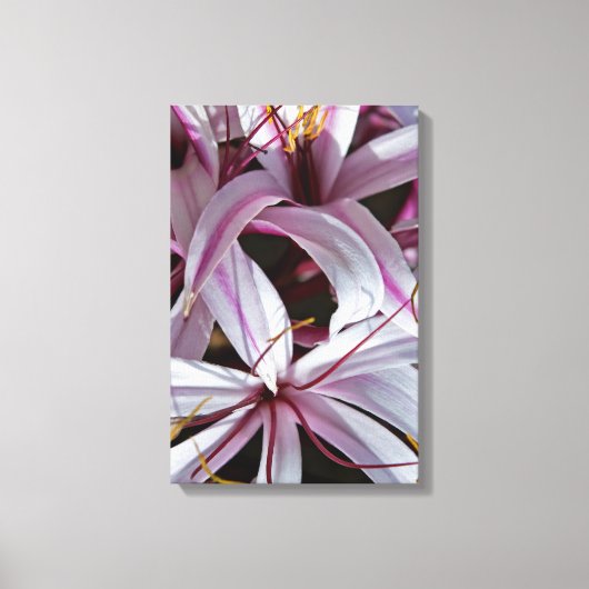 Lilies Leinwanddruck (Vorderseite)