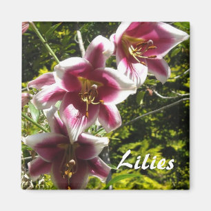Lilies Magnet