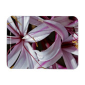 Lilies Magnet (Horizontal)
