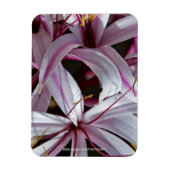Lilies Magnet (Vertikal)