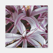 Lilies Magnet (Vorne)