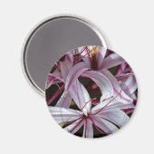 Lilies Magnet (Vorderseite/Rückseite)