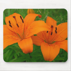 Lilies Mousepad