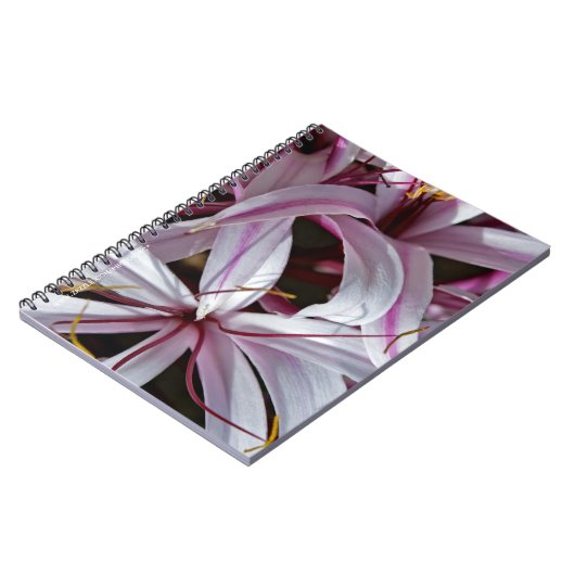 Lilies Notizblock (Linke Seite)