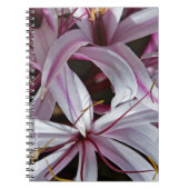 Lilies Notizblock (Vorderseite)