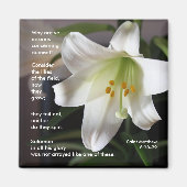 Lilies of the Field - Magnet (Vorne)