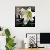 Lilies of the Field - Poster (Heimbüro)