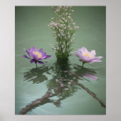 Lilies on Pond Poster (Vorne)