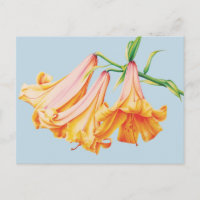 Lilies orange auf blauem Bleistift Aquarellkunst