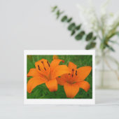 Lilies Postcard Postkarte (Stehend Vorderseite)