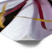 Lilies Poster (Ecke)