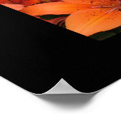 Lilies Poster (Ecke)