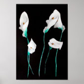 Lilies Poster Print Medium 24x20 (Vorne)