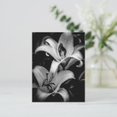 Lilies Postkarte (Stehend Vorderseite)