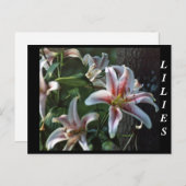 LILIES POSTKARTE (Vorne/Hinten)